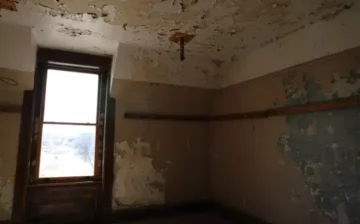 Mold in a bedroom apartment